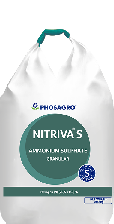 Sulfate d’Ammoniaque